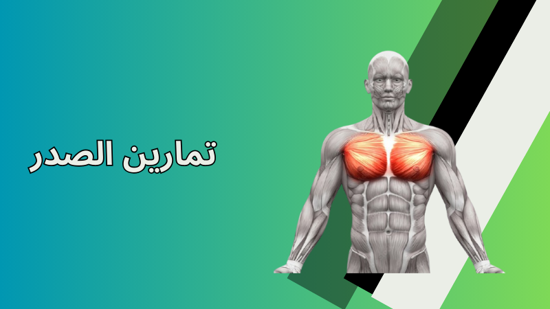 تمارين الصدر